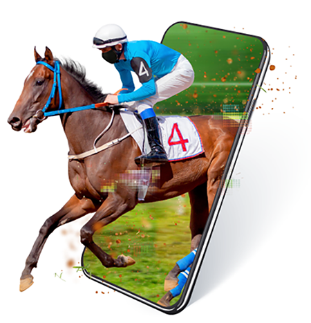 Un caballo de carreras en un fotomontaje donde sale de la pantalla de un celular