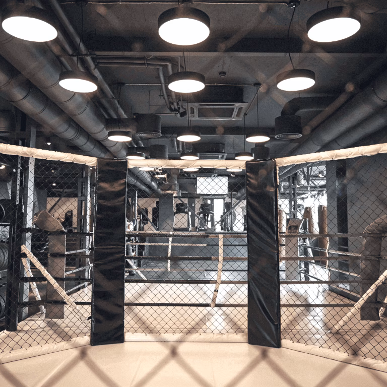 UFC Apuestas